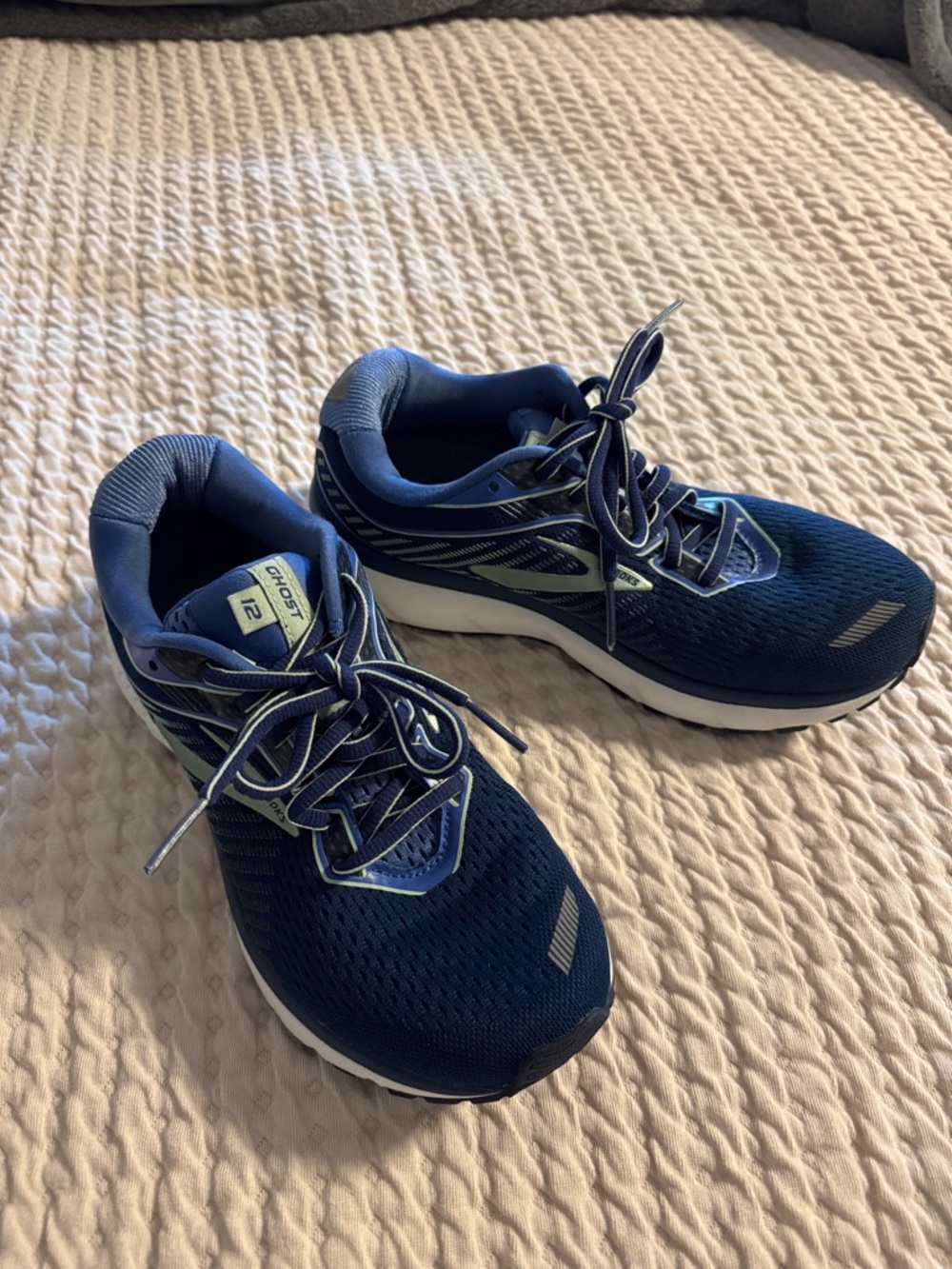 Brooks ghost 12